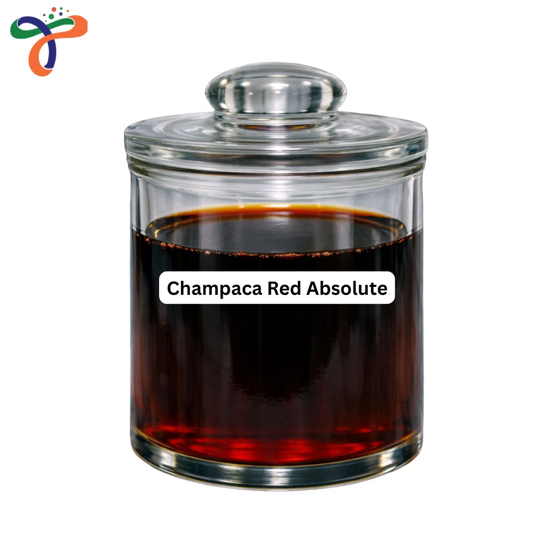 Champaca Red Absolute